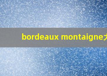 bordeaux montaigne大学